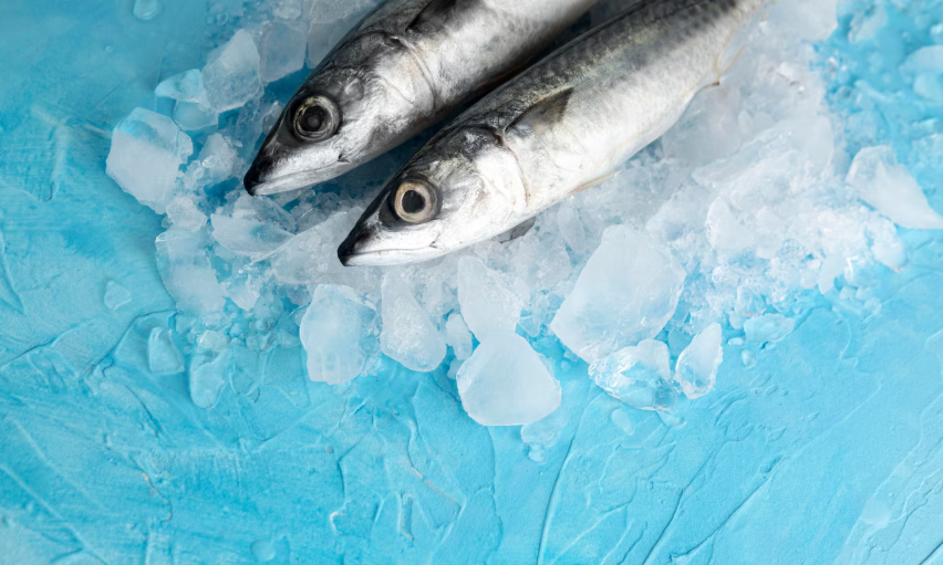 강원도 인제 빙어축제