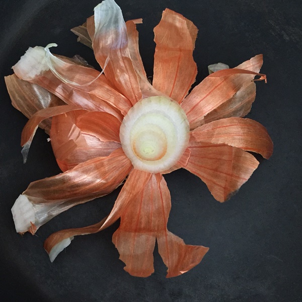 음식물 쓰레기 종류 구분하기, 김장배추 무 남은 찌꺼기