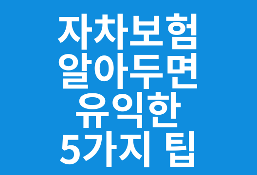 자차보험의 알아두면 유익한 5가지 팁