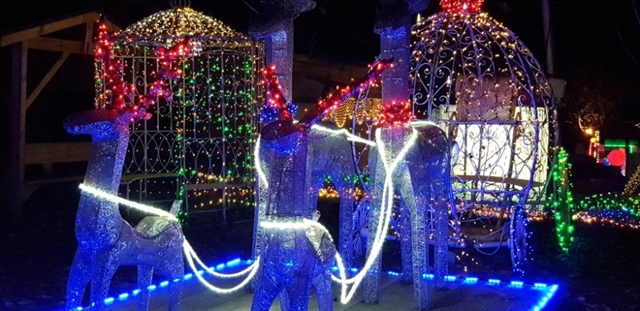 강원도 원주 고니골