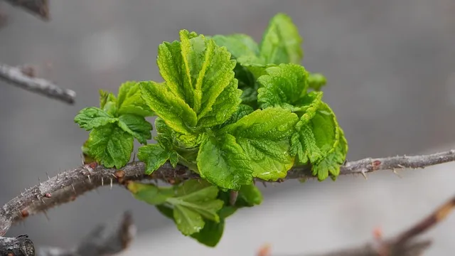 생생정보 연안부두 횟집 60첩반상 위치 예약 정리_3
