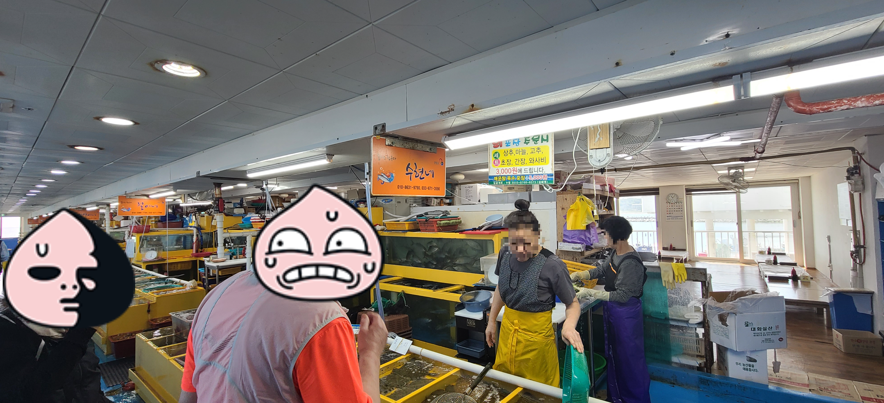 강원도 활어회 물치항회센터 도다리회 광어회 물치항 주차장 회센타입구 한산한 회센터