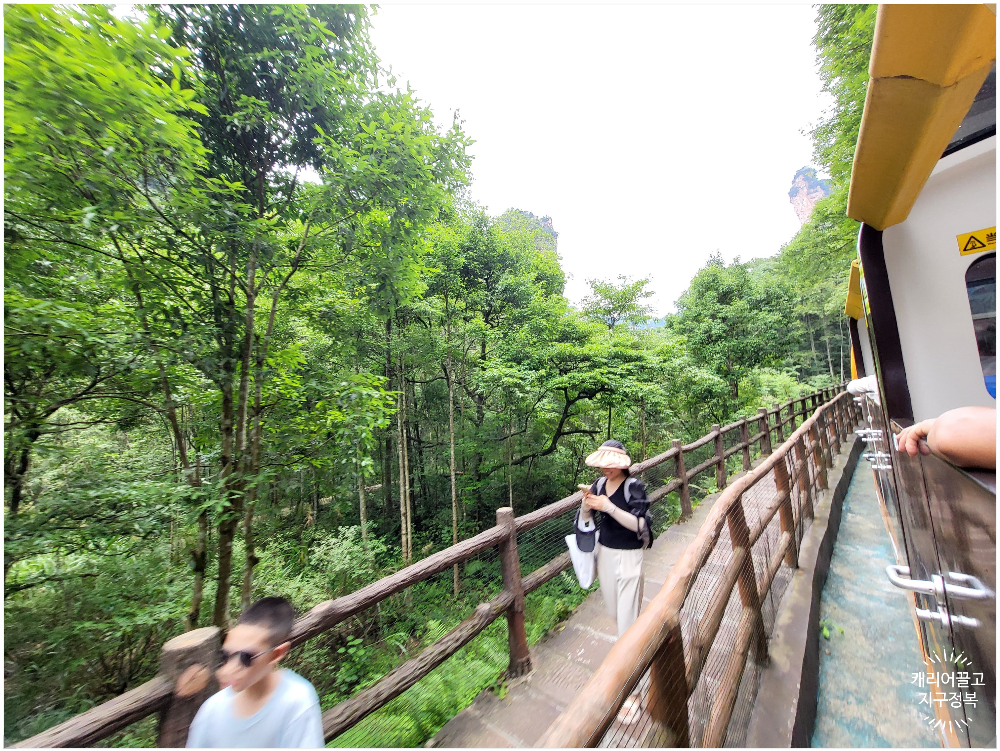 장가계 무릉원 풍경구 십리화랑