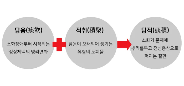 담적병 증상