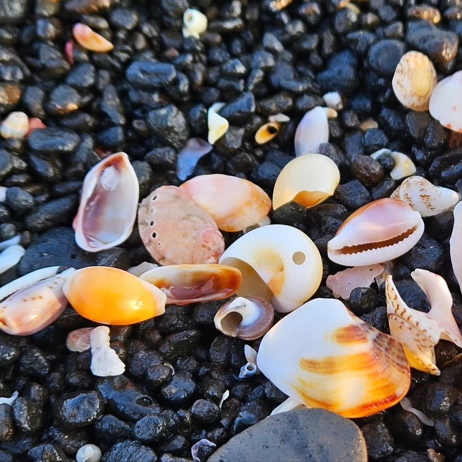 성산일출봉이 보이는 제주바다 건강해 안전해