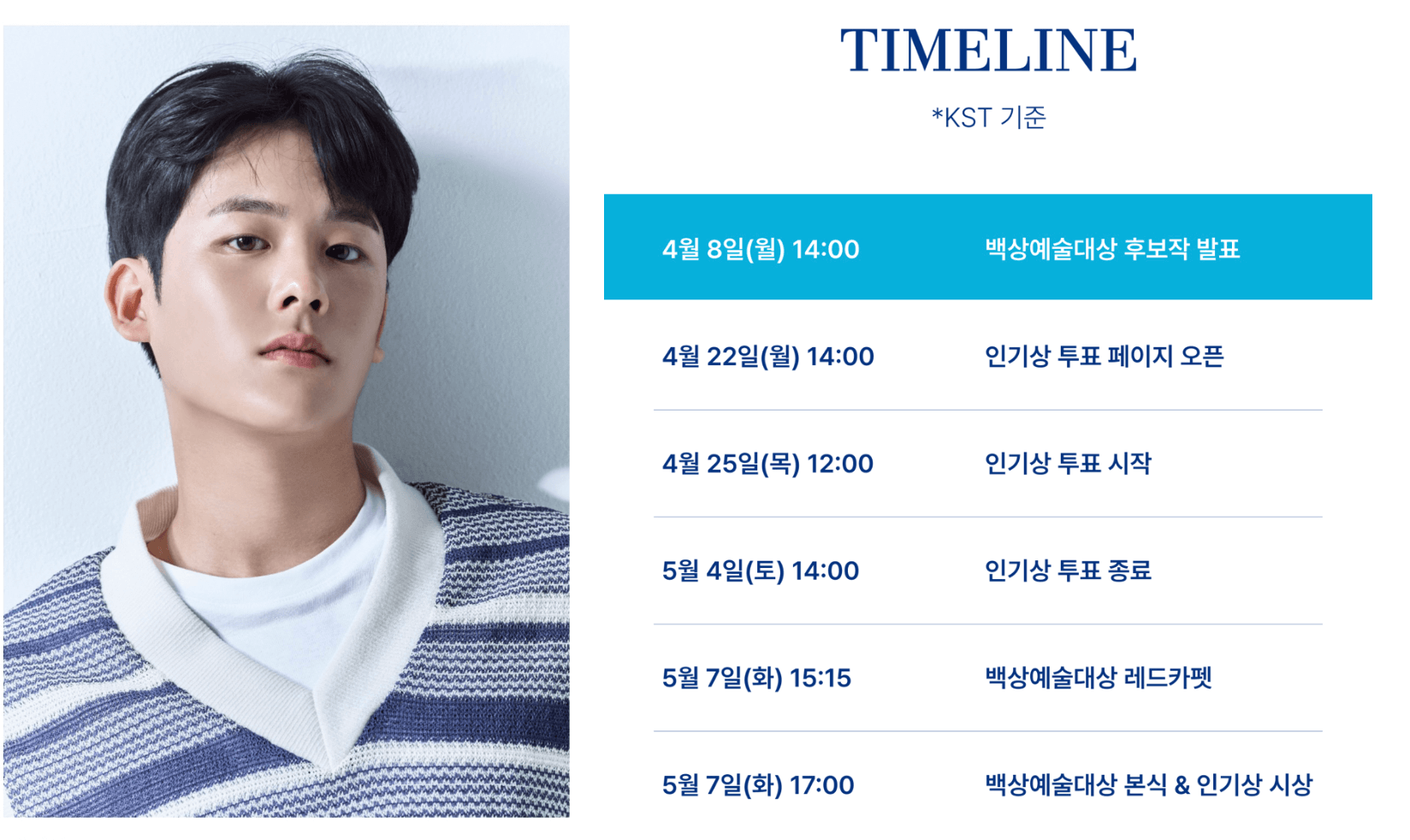 백상예술대상 투표