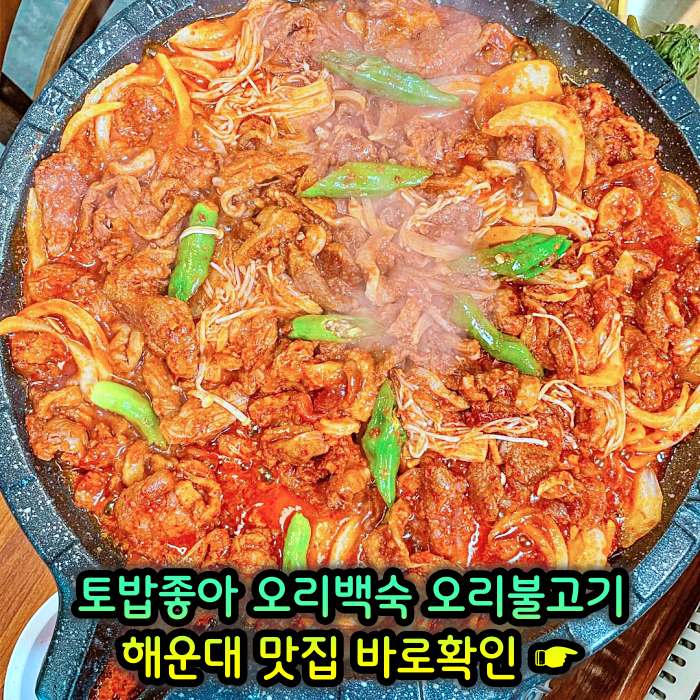 부산 해운대 맛집 무항생제 1등급 오리 백숙