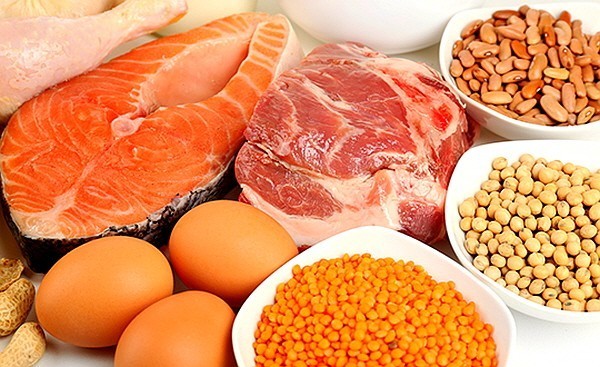 고단백 음식 사진