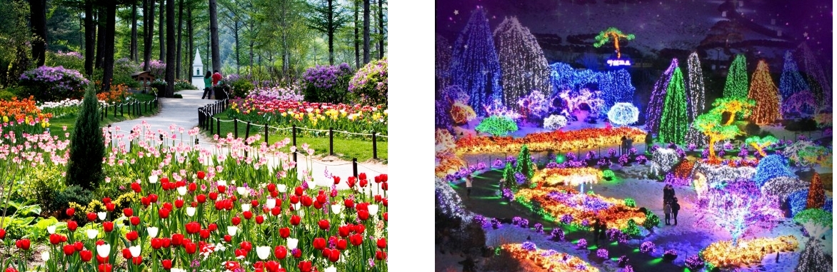 아침고요 수목원