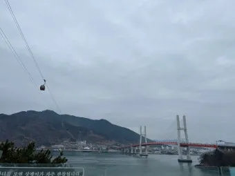 사천 가볼만한곳 맛집 추천 카페 애견동반 관광 명소_17