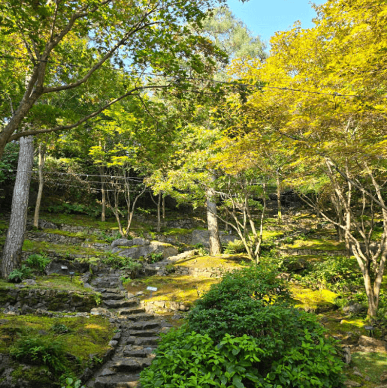 화담숲 예약 방법