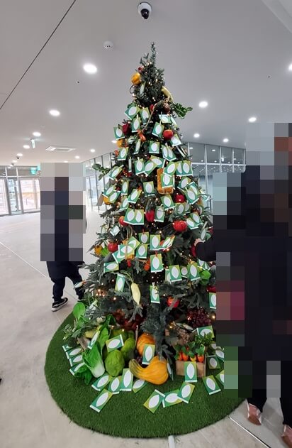 국립농업박물관 교육동 내부 트리