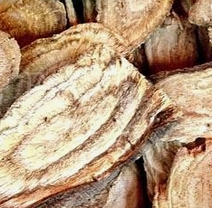 칡 효능 부작용