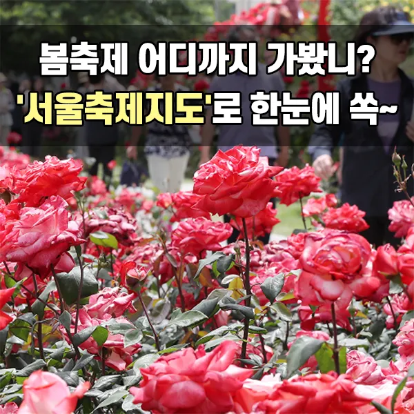 서울축제지도