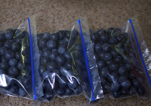 블루베리 소분하기