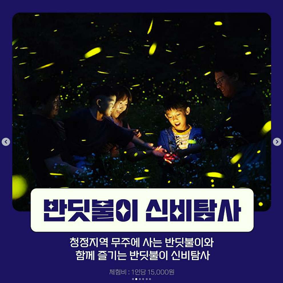 무주반딧불축제 주차장