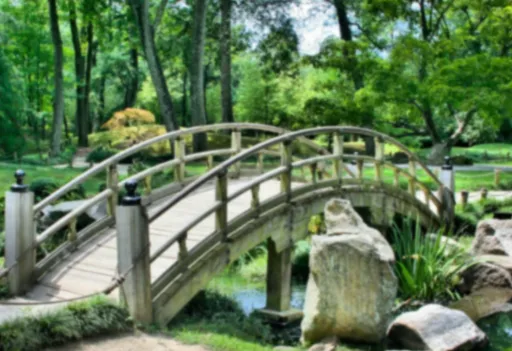 초보 캠퍼가 흔히 하는 실수와 예방법