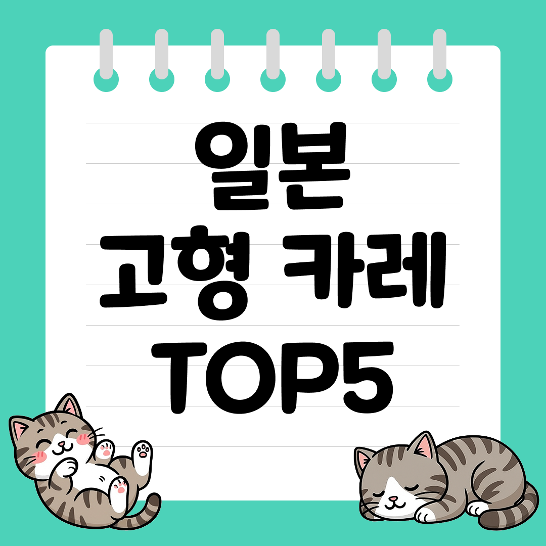 에스앤비골든 일본 고형 카레 추천 순위 TOP5