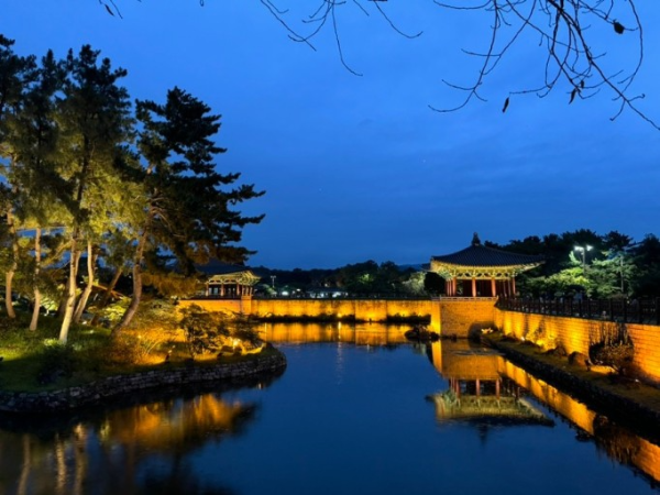 안압지 야경 사진