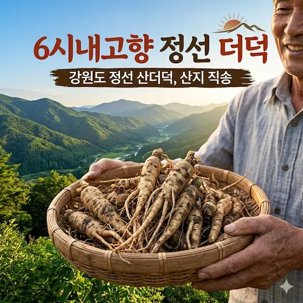 6시내고향 정선 더덕