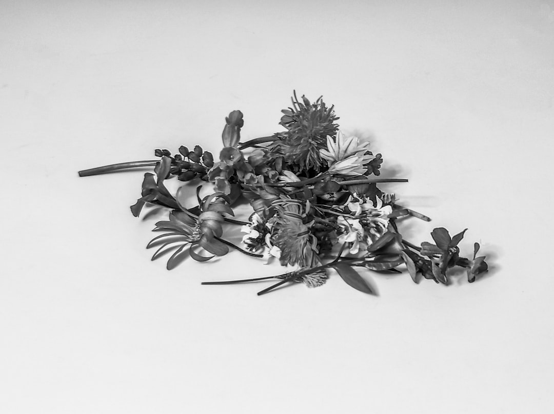 Herbal extract