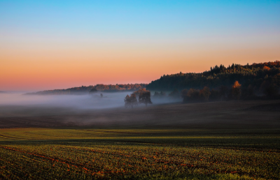 영화배경관련 이미지