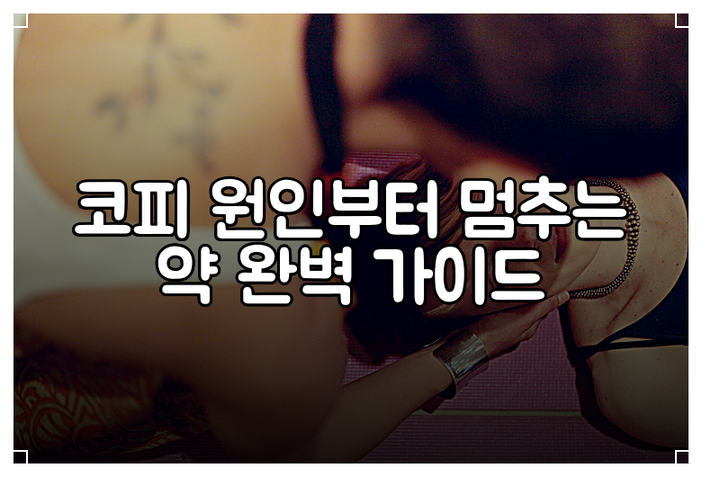 코피 원인부터 멈추는 약 완벽 가이드
