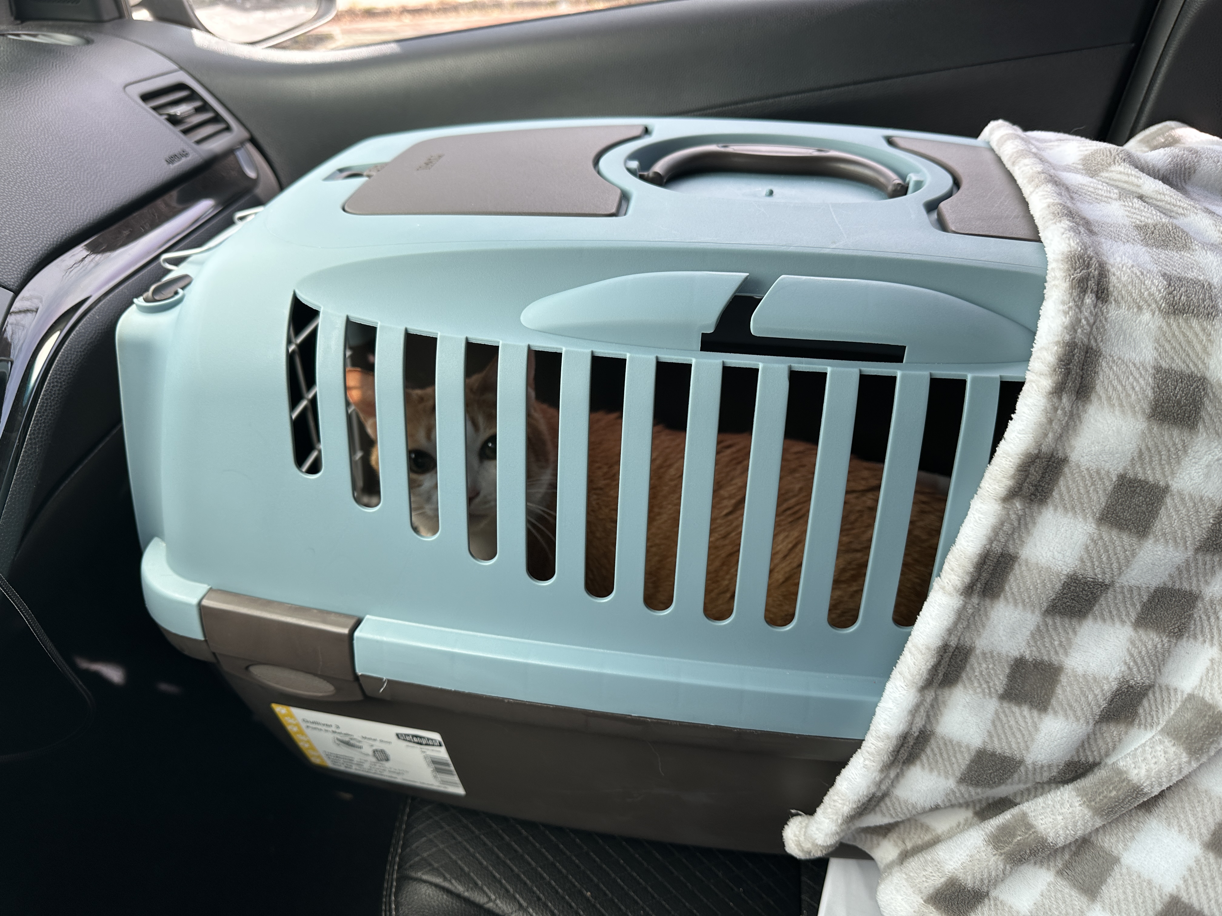 병원으로_가는_차안_호야