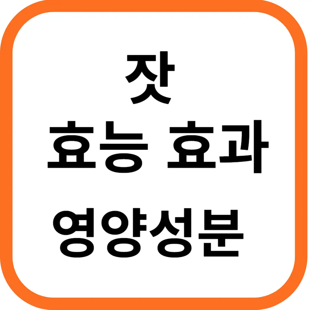 잣 효능효과 영양성분, 먹을 때 주의점