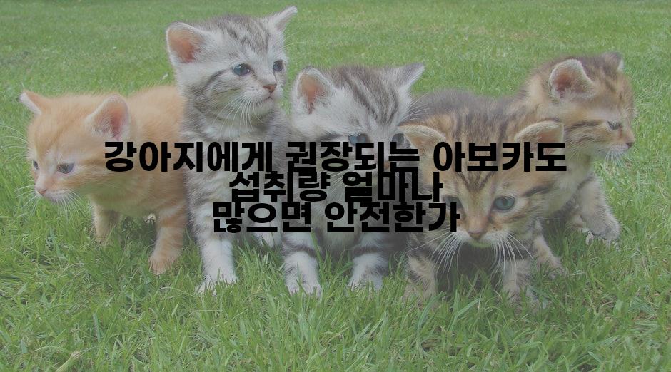강아지에게 권장되는 아보카도 섭취량 얼마나 많으면 안전한가