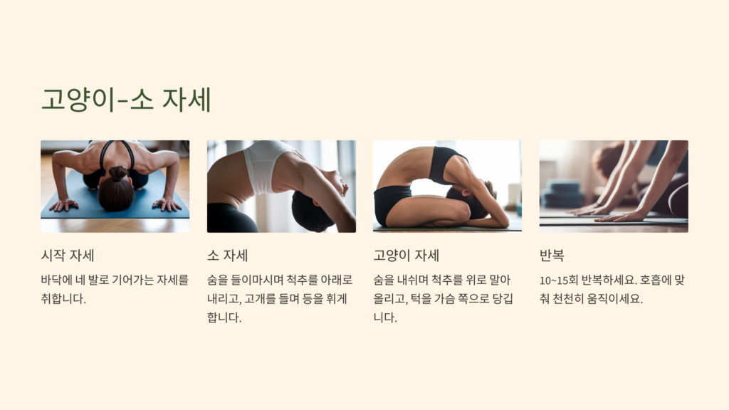 전신을 깨우는 '고양이-소 자세'