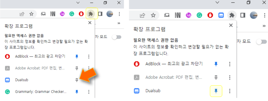 Dualsub-확장-프로그램-고정하기