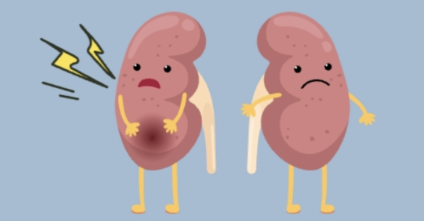 단백뇨의 원인 11가지 총정리 섬네일
