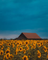 농지취득자격증명 요건