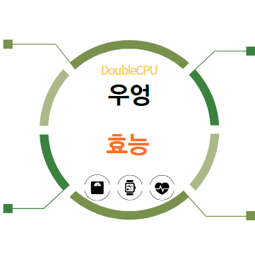 우엉 효능