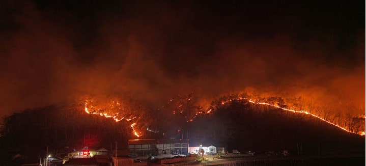 산불기부처 산불피해 고향사랑e음