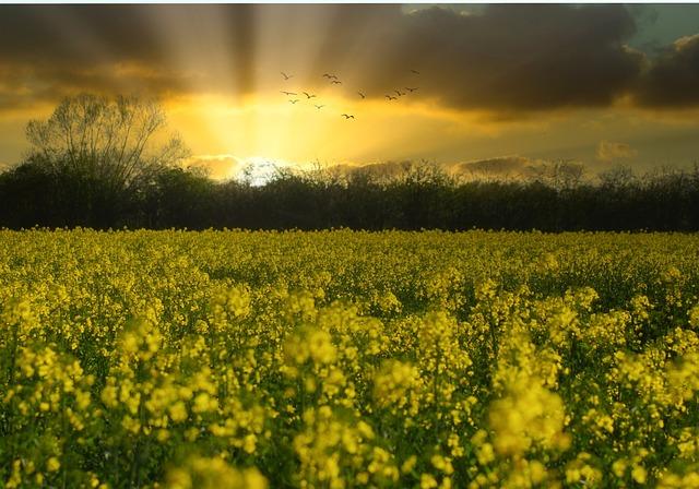 임기응변 뜻 한자 풀이