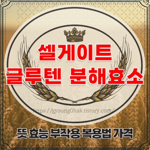 셀게이트 글루텐 분해효소