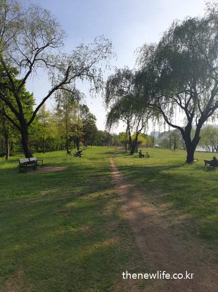 서울 암사생태공원 걷기 좋은 길 &ndash; 넓은 잔디 광장과 벤치가 있는 도심 속 쉼터