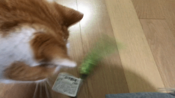 고양이가좋아하는장난감