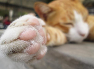 의사 주의 이미지.