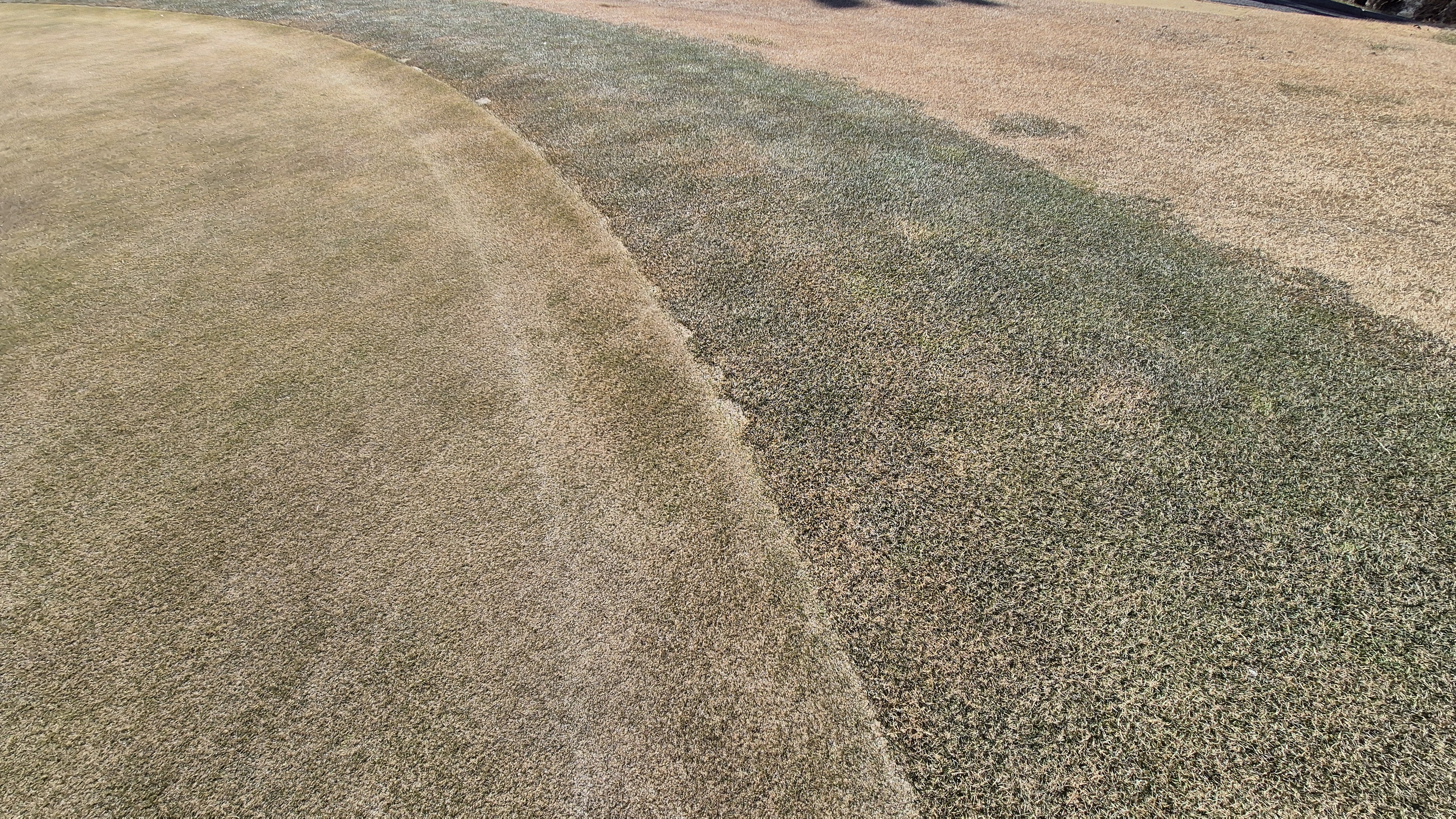 로제비앙gc 로제-비앙 코스 그린 관리 상태