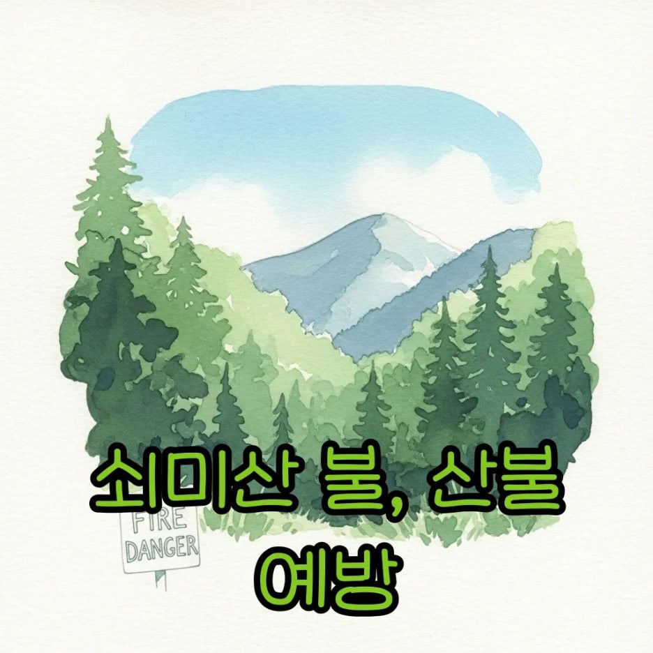 고요한 숲과 산불 조심 표지판이 어우러진 풍경