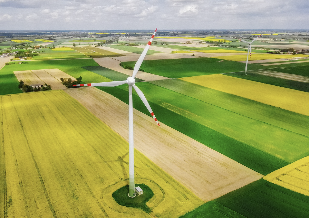 수소차 vs. 전기차 사진