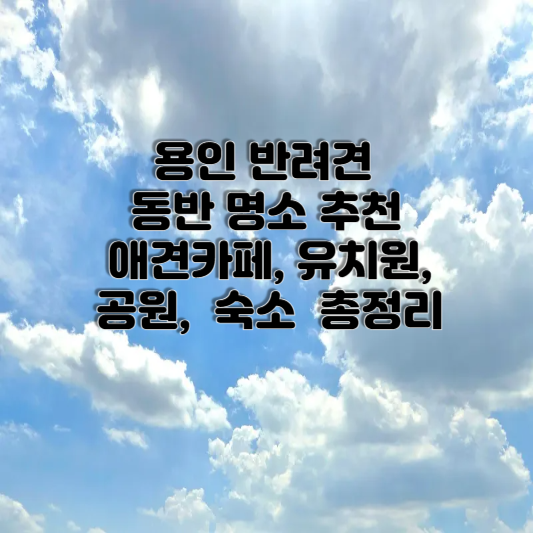 ์ฉ์ธ ๋ฐ๋ ค๊ฒฌ ๋๋ฐ ๋ช
์