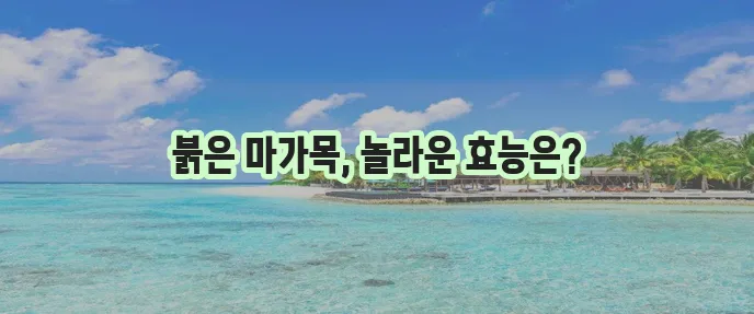 마가목 열매 효능 10가지와 먹는 법 확실하게 알아봐요!