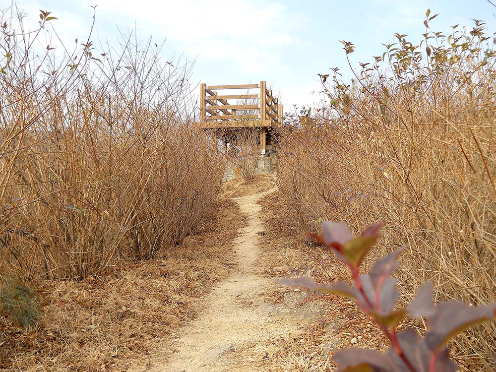걷고 사랑하며: 홍제동 고은산 걷기