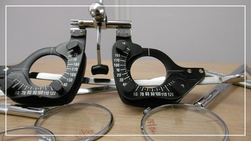 루테인과 지아잔틴의 차이 