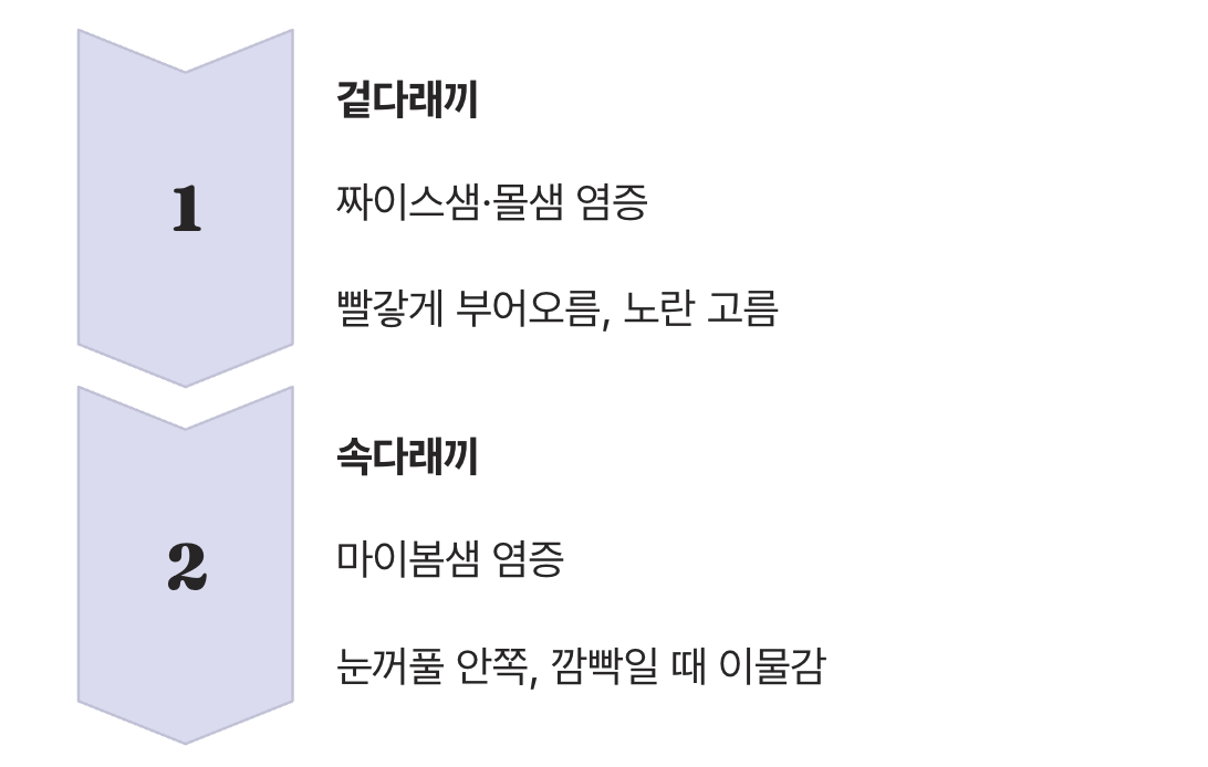 겉과 속, 생기는 위치가 달라요