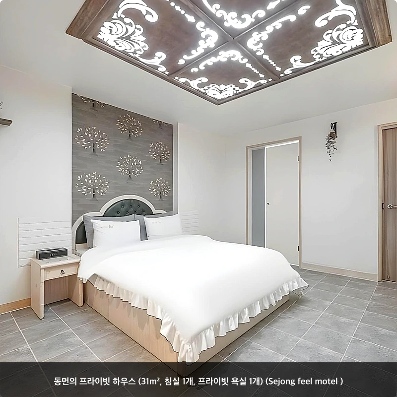 동면의 프라이빗 하우스 (31m², 침실 1개, 프라이빗 욕실 1개) (Sejong feel motel )_6